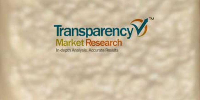 Spray Polyurethane Foam Market to Develop at 7% CAGR Owing to Surging Demand from the Construction Market, Report Says