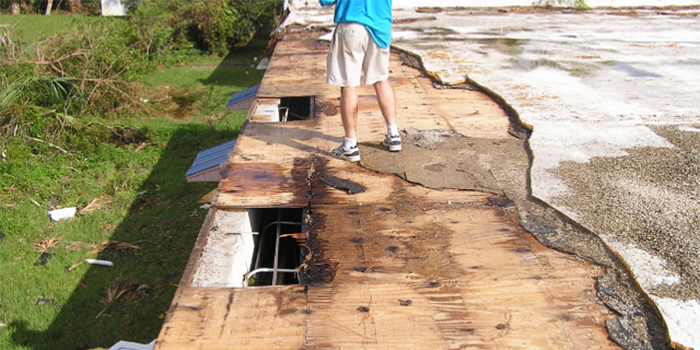 Proven Practices to Prevent Wind Damage